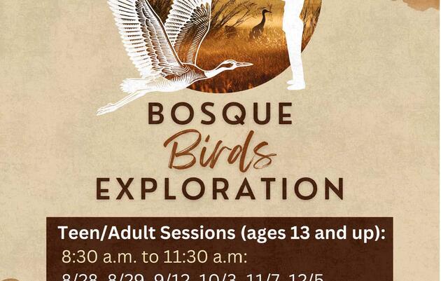 Family Workshop: Bosque Birds Exploration at the Albuquerque Open Space