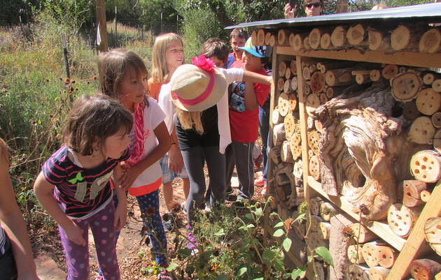 Camp Programs at the Randall Davey Audubon Center & Sanctuary