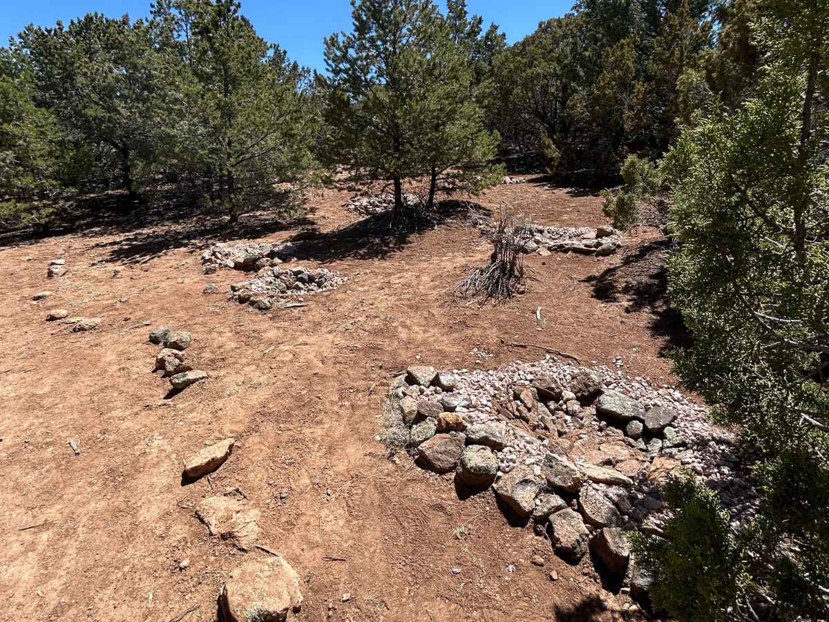 Loop Trail Loop Trail