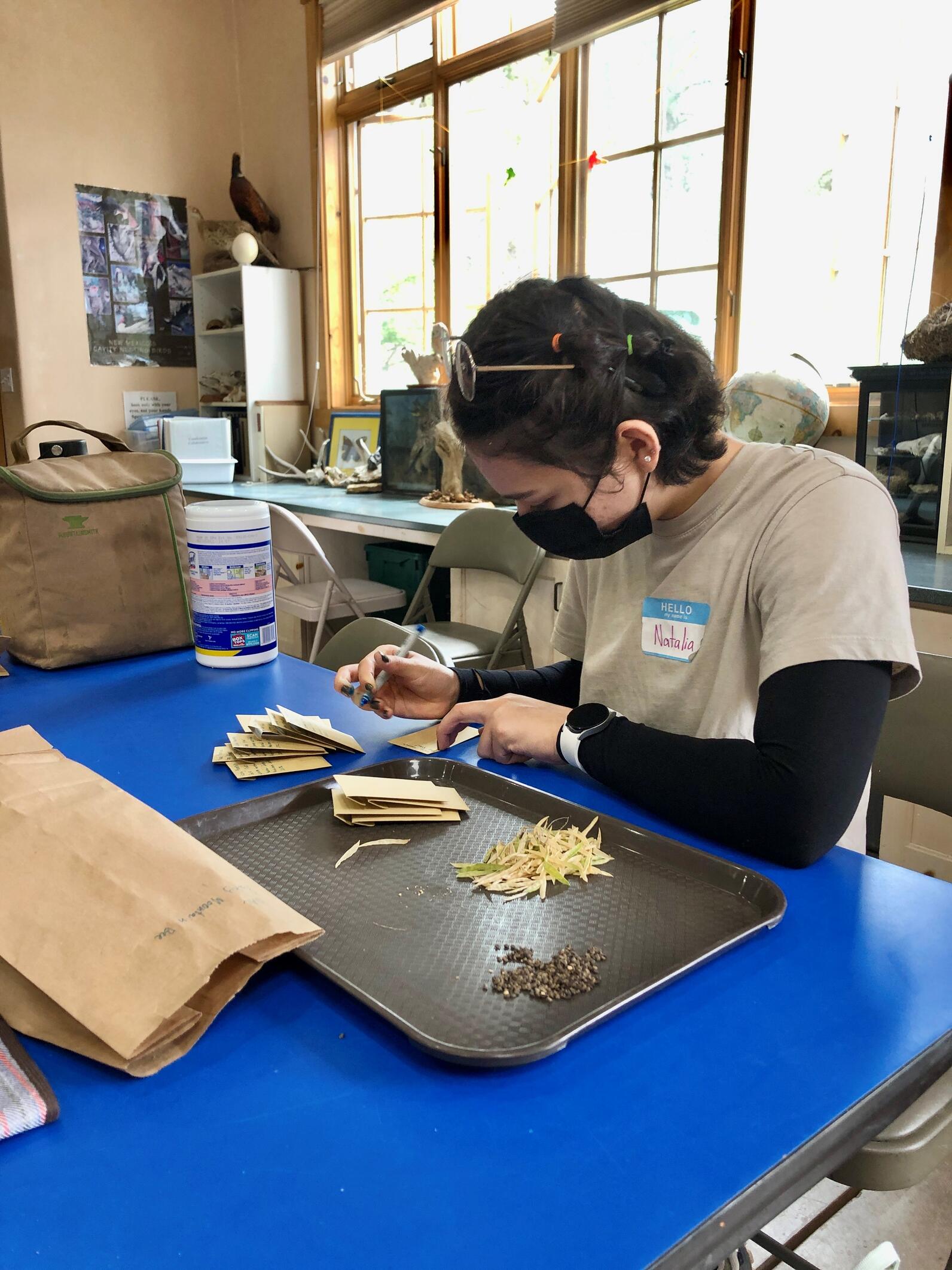 A student from The Master’s Program at Santa Fe Community College cleans and packages Rocky Mountain Bee Plant seeds. A student from The Master’s Program at Santa Fe Community College cleans and packages Rocky Mountain Bee Plant seeds.