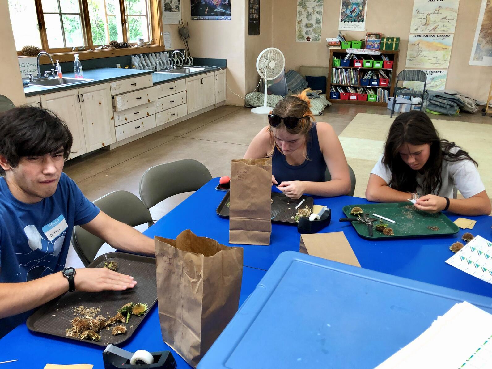 Students from The Master’s Program at Santa Fe Community College work together to collect and package native wildflower seeds from RDAC grounds. 